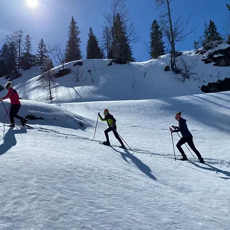 Διαμέρισμα Auerschmied *